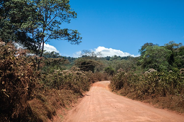 TZA ARU Ngorongoro 2016DEC23 013